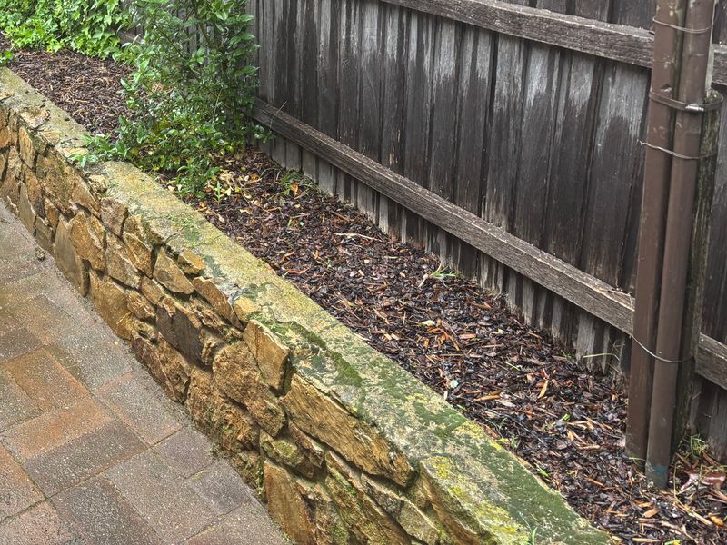 Side path after: stone retaining wall and garden bed cleared of weeds